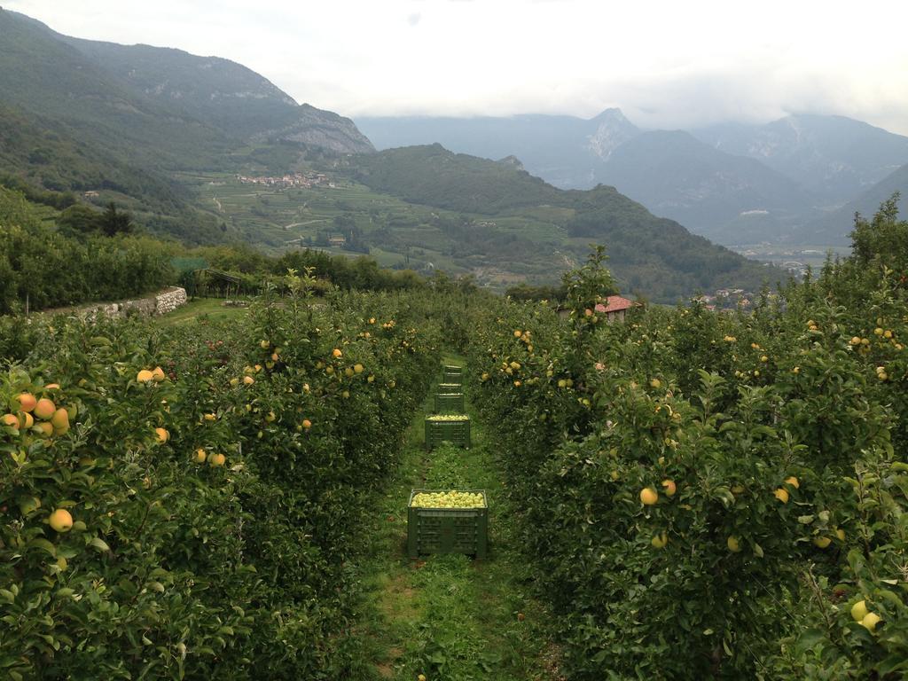 Agritur Le Pergole Hotel Villa Lagarina Ngoại thất bức ảnh